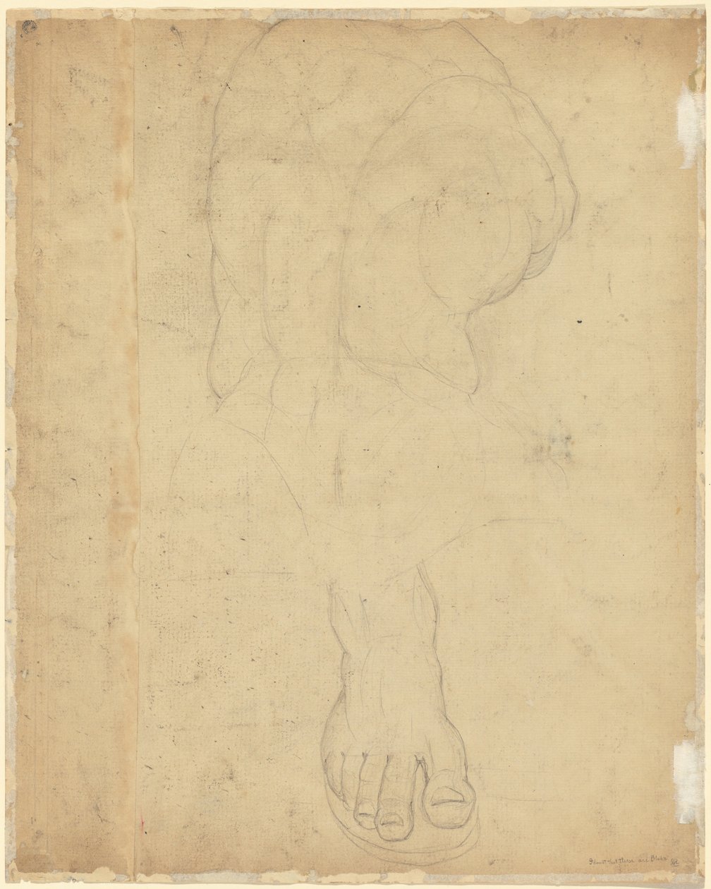 Belvedere Gövdesi [verso] by William Blake