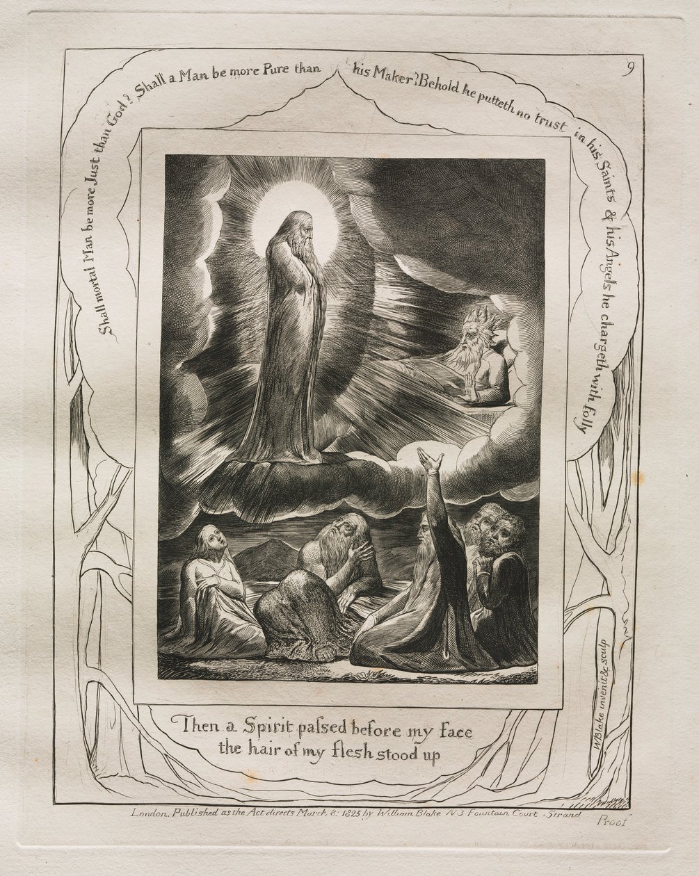 Eyüp Kitabı: Pl. 9, Sonra bir Ruh yüzümün önünden geçti, etimin kılları ayağa kalktı, 1825. by William Blake