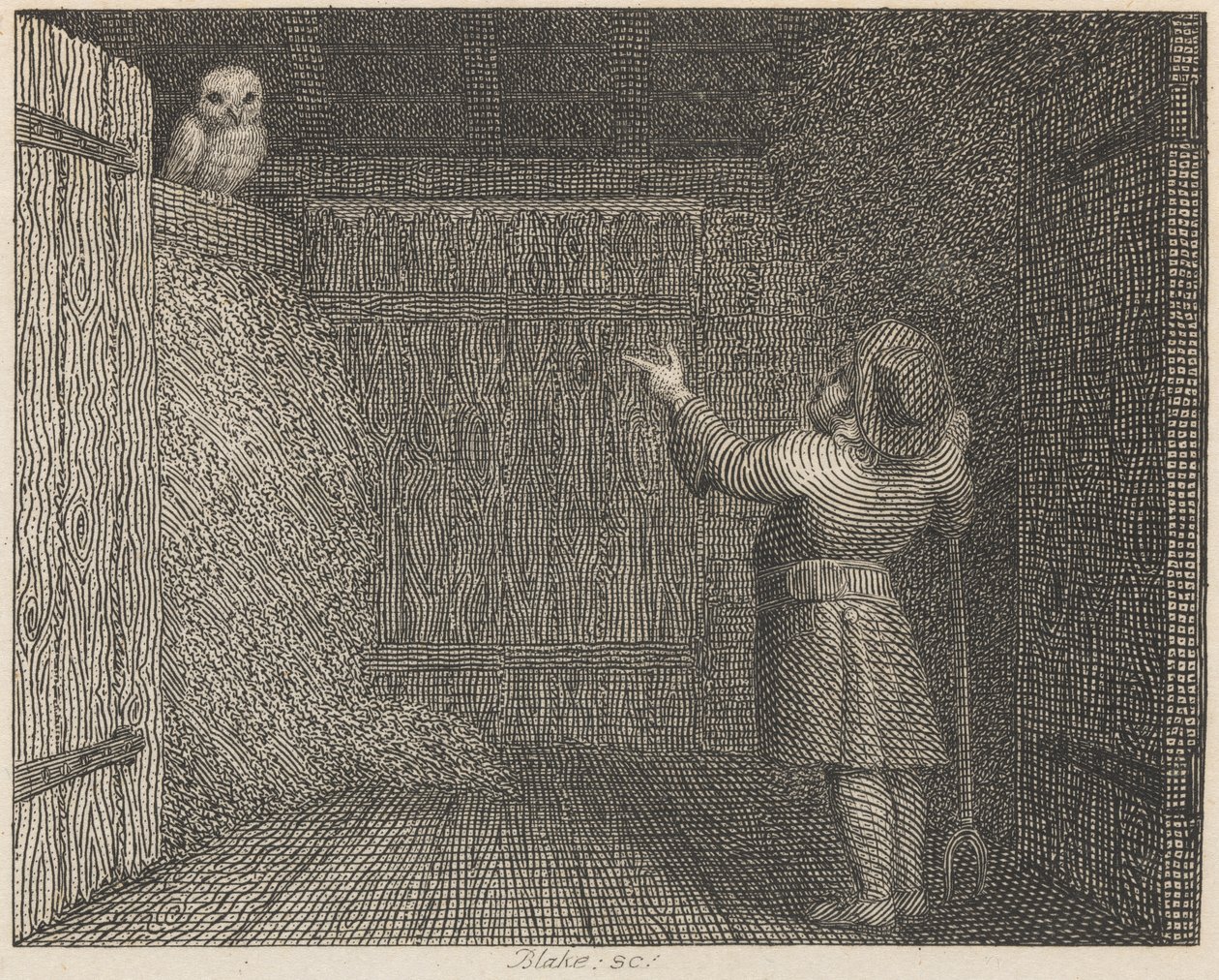 Baykuş ve Çiftçi by William Blake