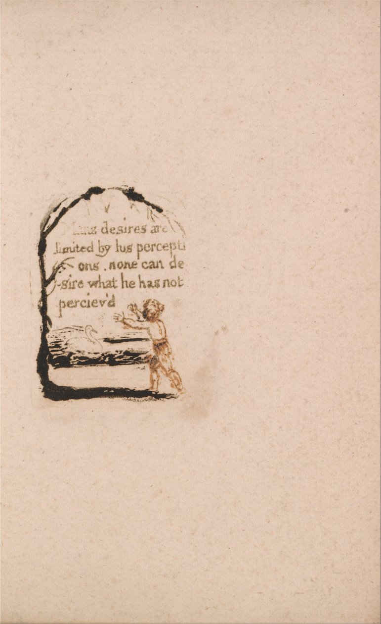 Doğal Din Yoktur, Levha 7, V Adamın Arzuları. . . . (Bentley a8) by William Blake