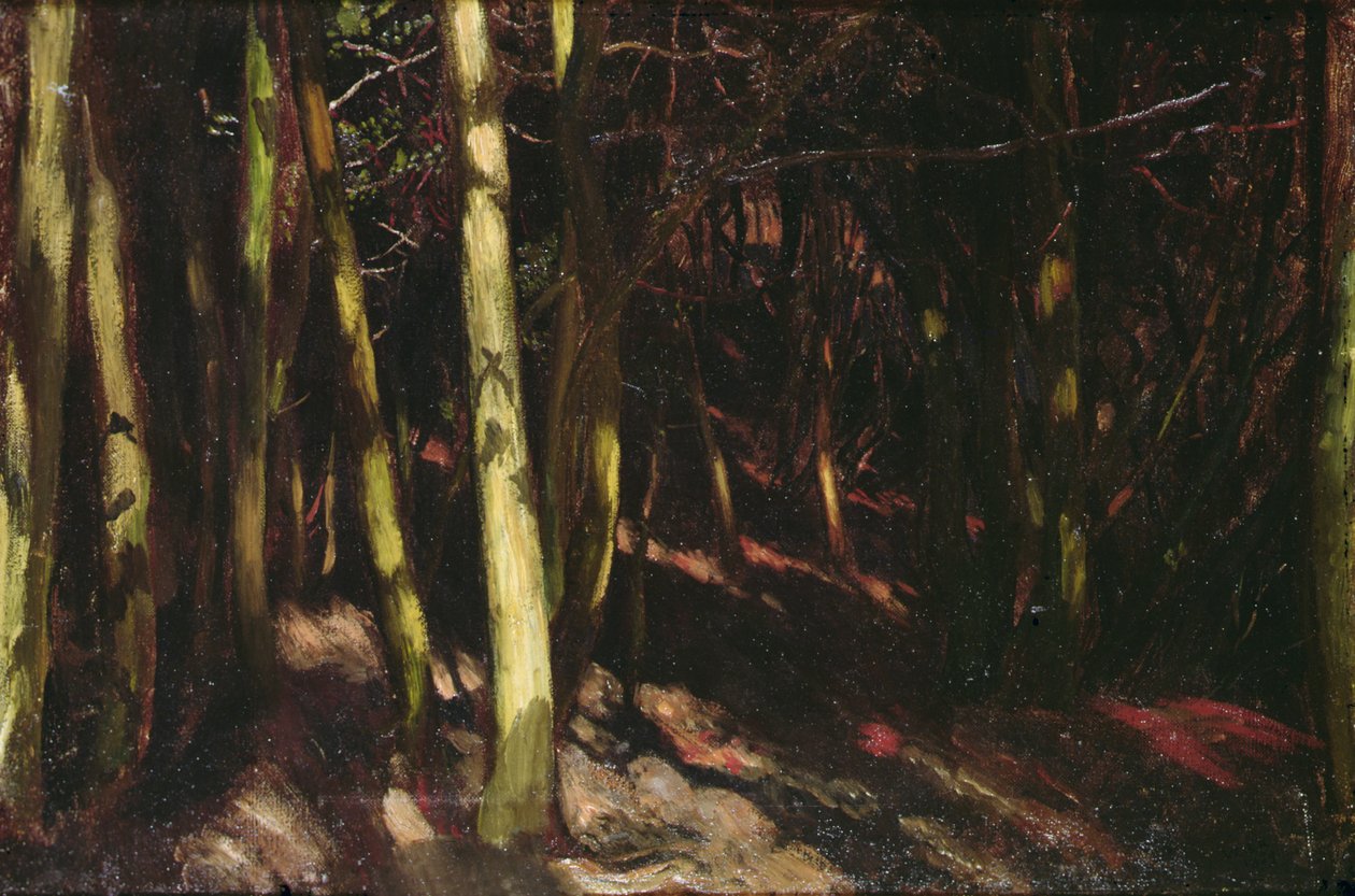 Ağaçlar, c.1890 (gemideki yağ) by William Blake Richmond