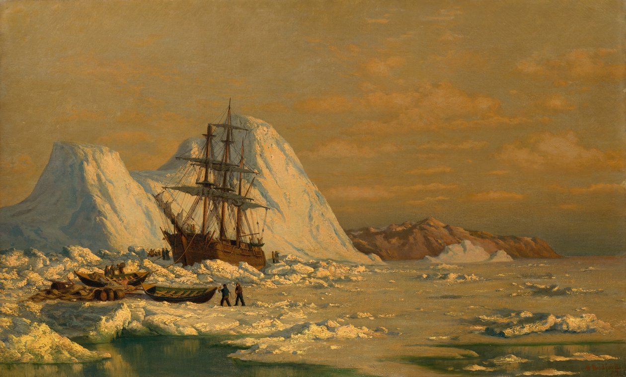 Bir Balina Olayı. by William Bradford