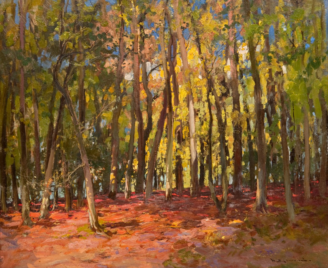 cadılar ağacı by William Bradley Lamond