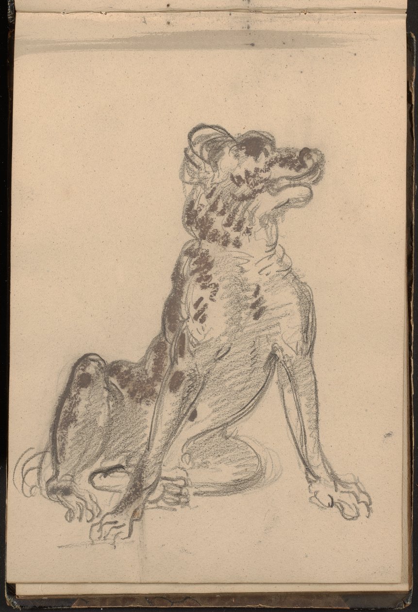 Bir Köpek Portresi by William Brockedon