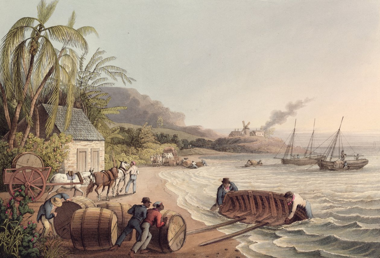 Rom ve Şeker Fıçıları Yükleme, Antigua by William Clark