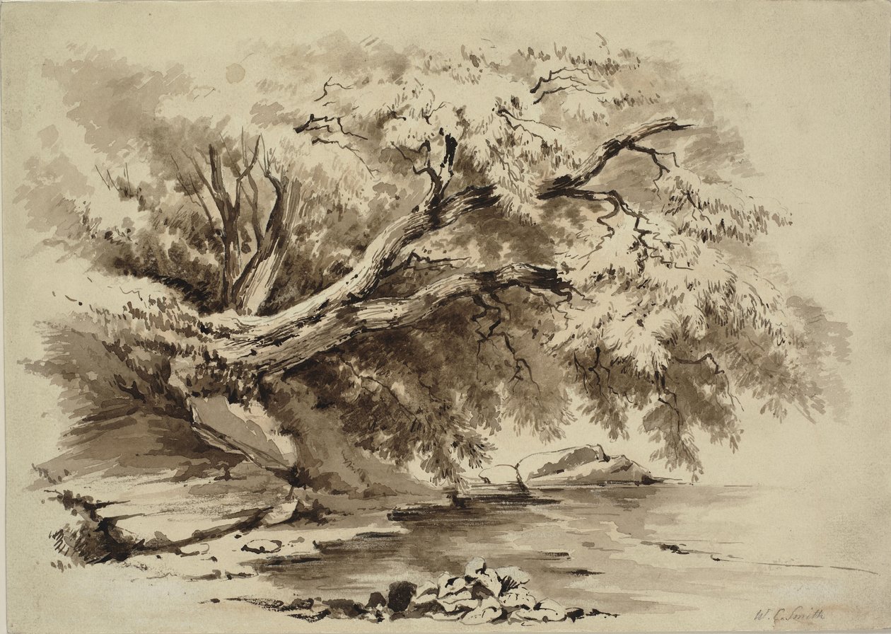 Bir gölden sarkan ağaçlarla dolu manzara by William Collingwood Smith