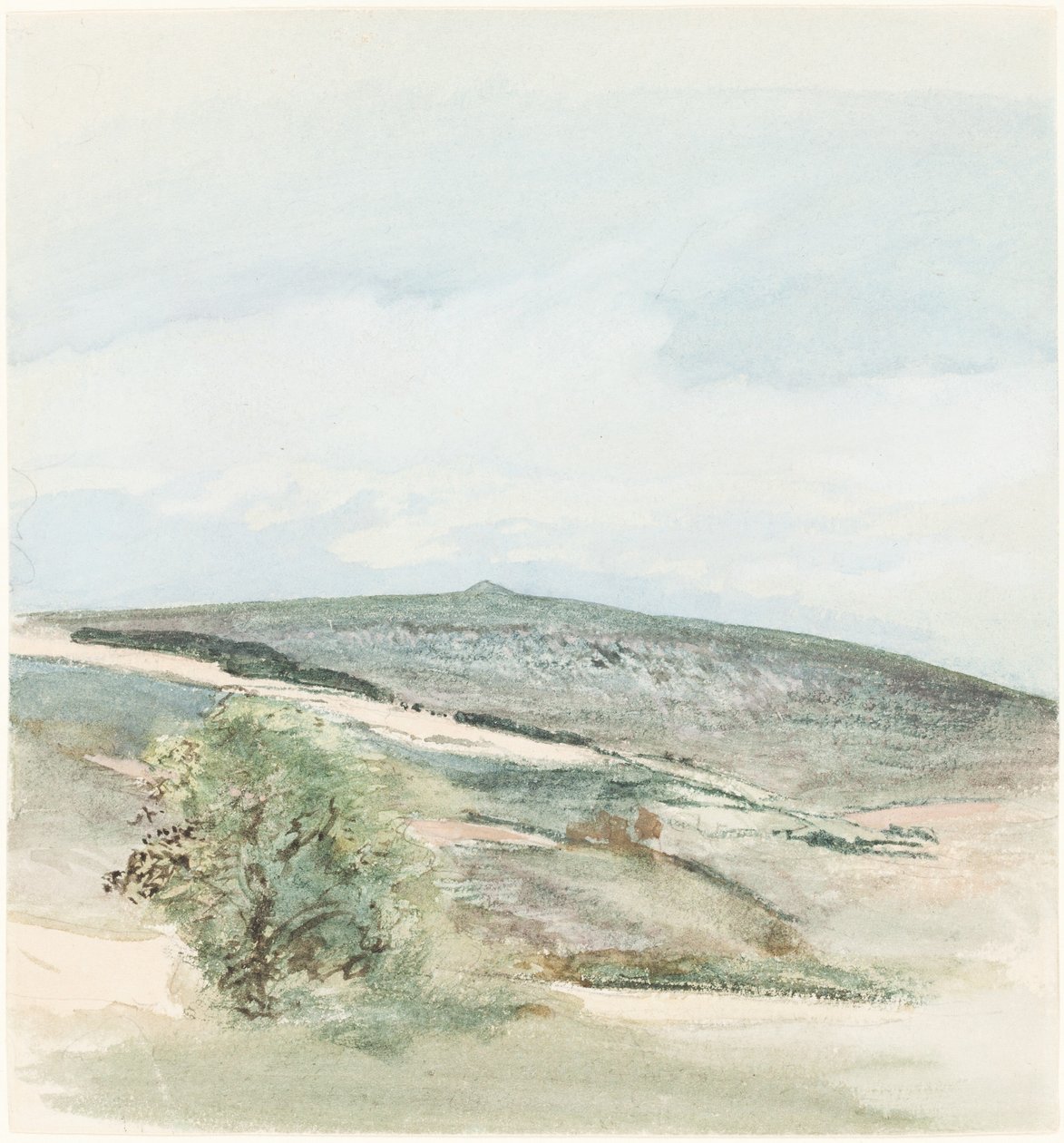 Sussex