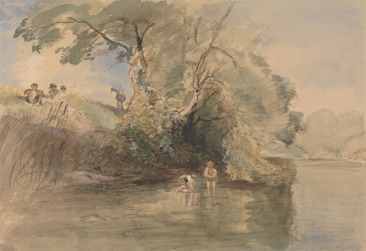 kürek çekme by William Collins