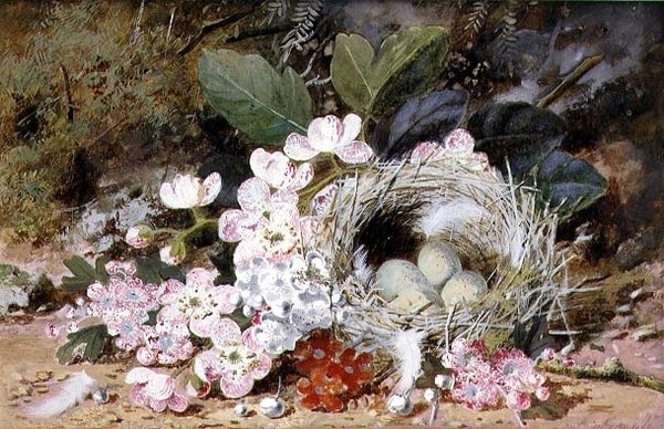 Primulas ile Kuş Yuvası Natürmort by William Cruikshank