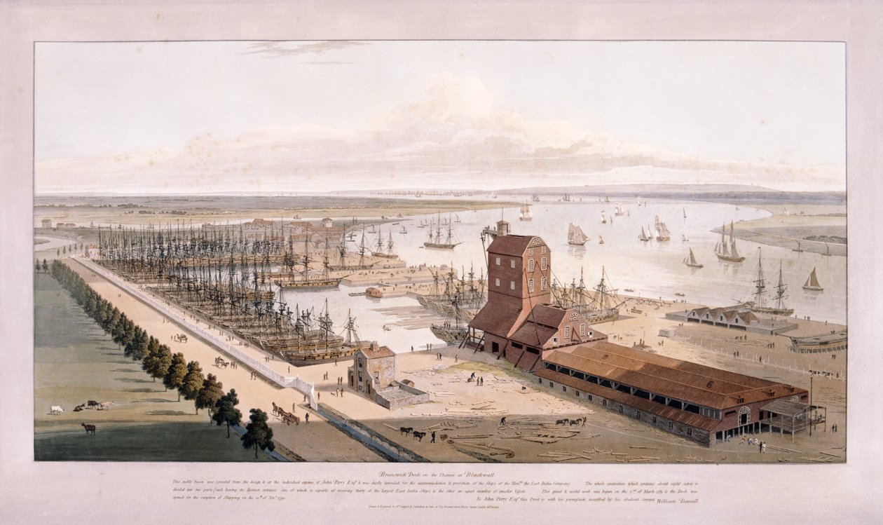 Brunswick Rıhtımı ve Doğu Hindistan Rıhtımı, Poplar, Londra, 1803 by William Daniell