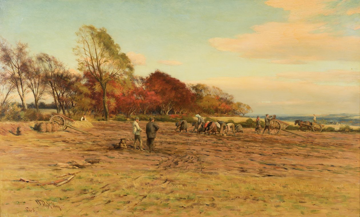 Patates Toplama by William Darling McKay