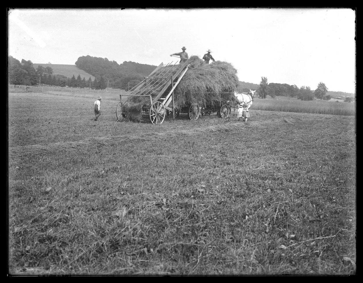 Saman vagonu, çiftlik işçileri ve çocuklar, saman kaldırmak için aparatları gösteriyor, McCready Çiftliği, Crawford County, Pensilvanya, c.1913 by William Davis Hassler
