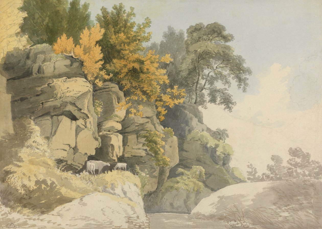 Dere Kenarındaki Ormanlık Kayalar (Derbyshire?) by William Day