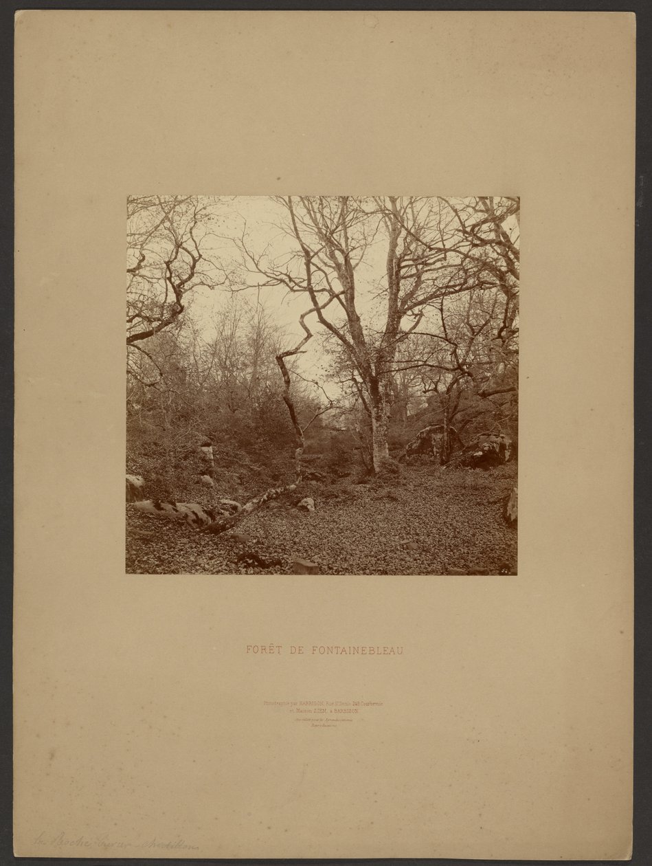 by William Drooke Harrison