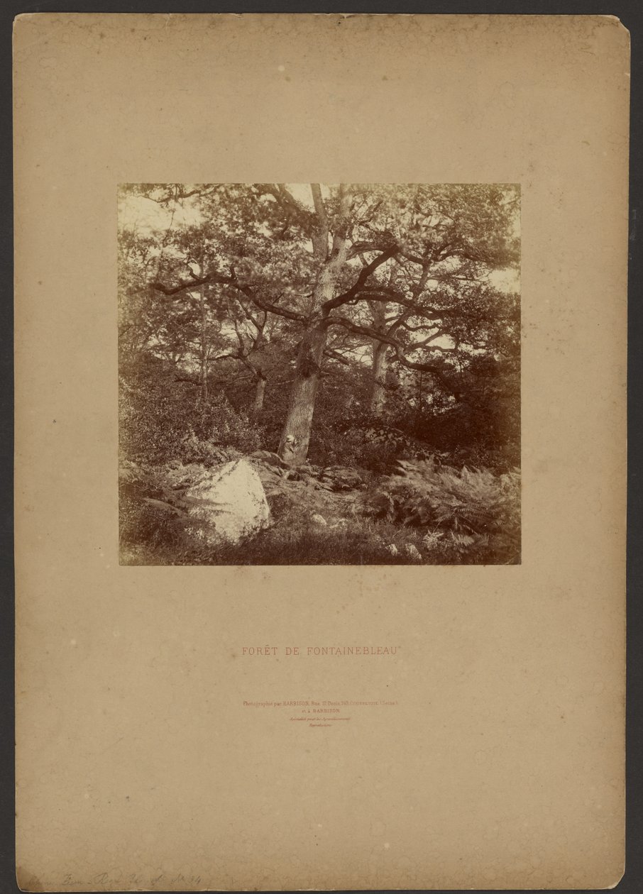 Fontainebleau Ormanı by William Drooke Harrison