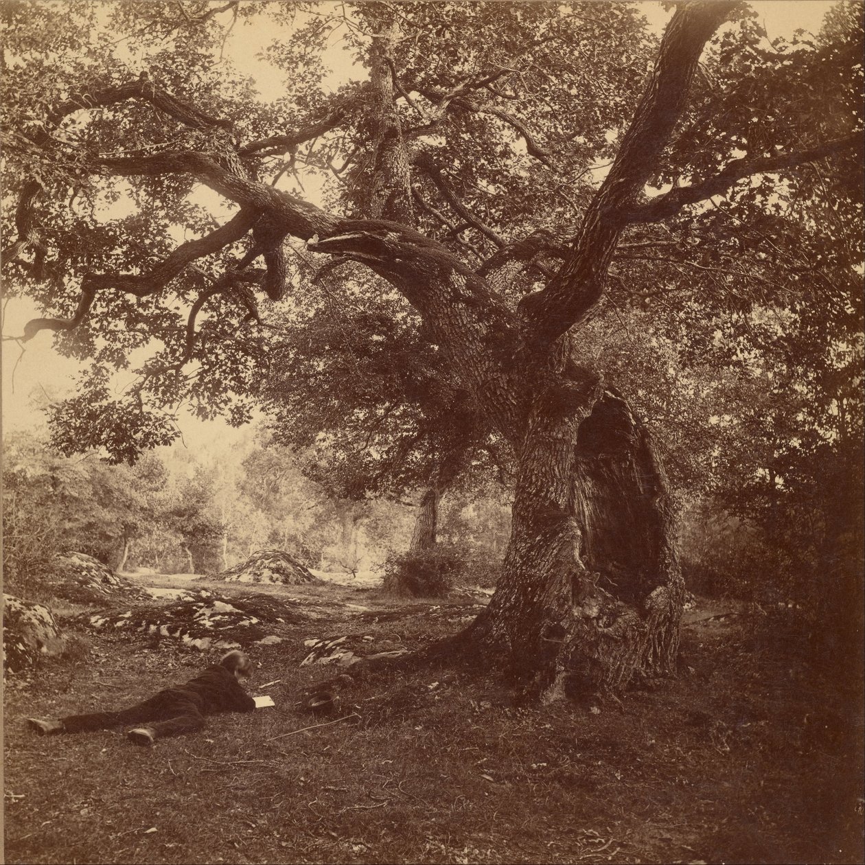 Fontainebleau Ormanı by William Drooke Harrison