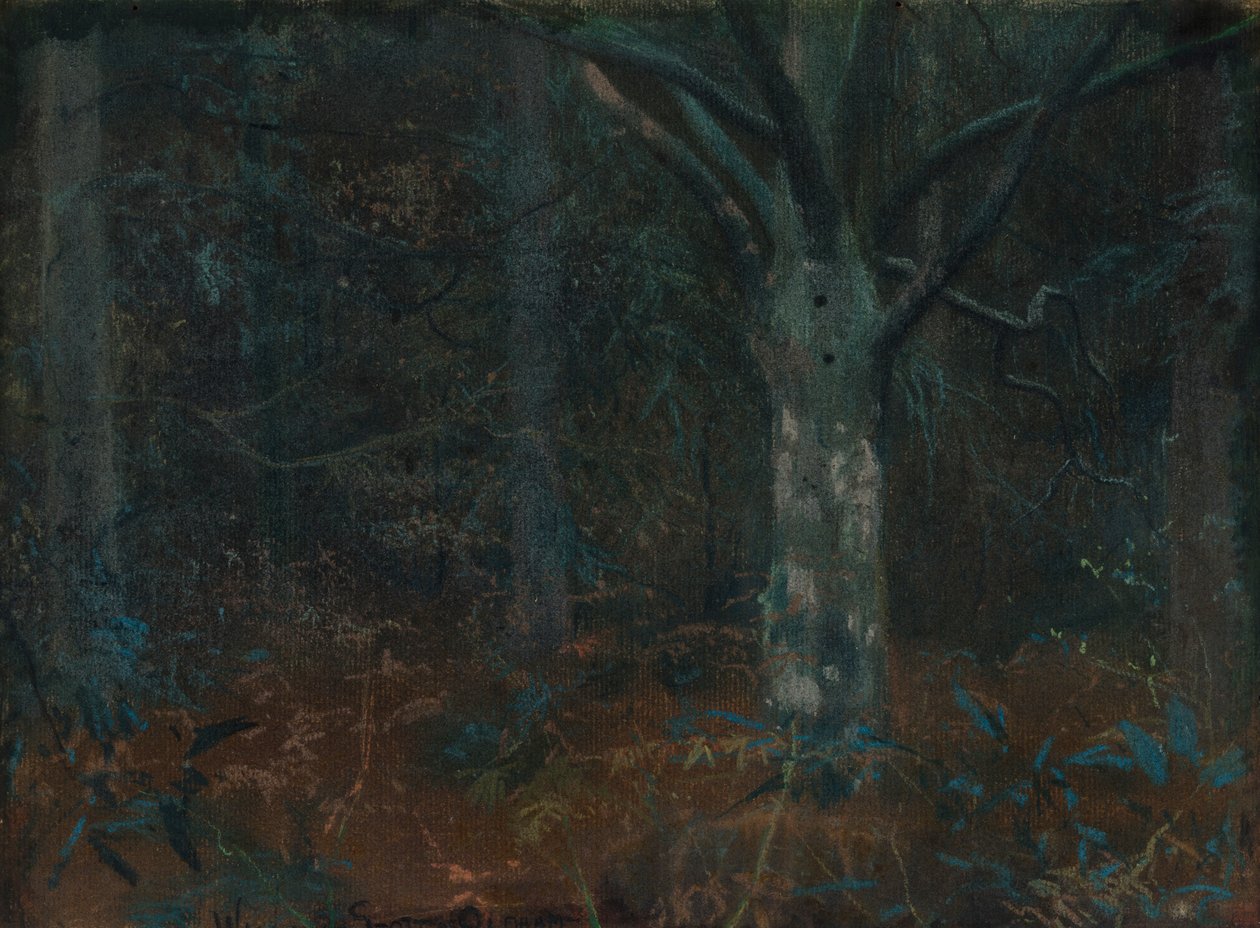 Eski Çınar by William Edward Stott