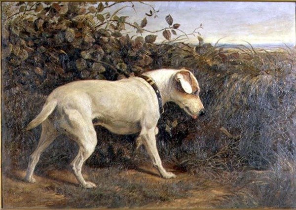 Manzaradaki Teriyer by William Elsob Marshall