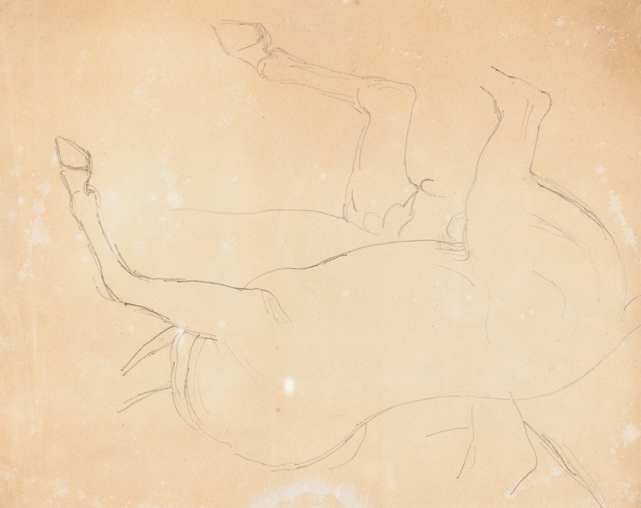 Bir At Çalışması [verso] by William Etty