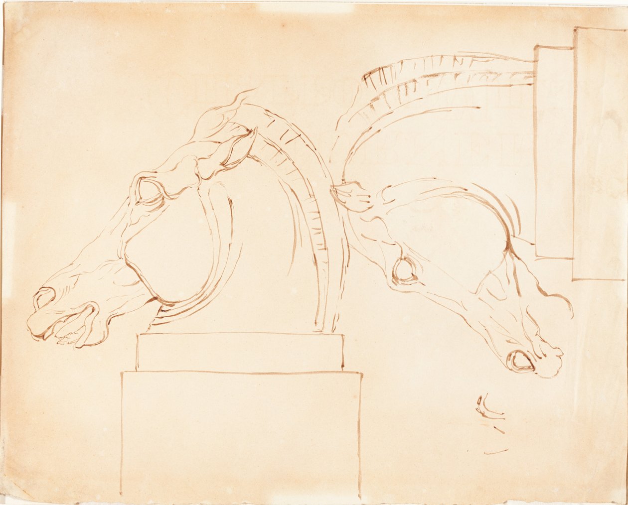 Elgin Mermerlerinden Selene