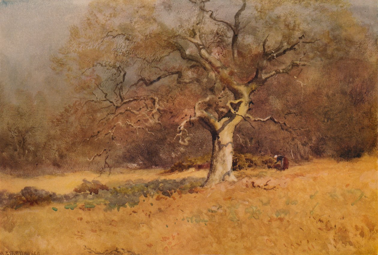 Kış Ormanları, c1916, 1938 by William Eyre Walker