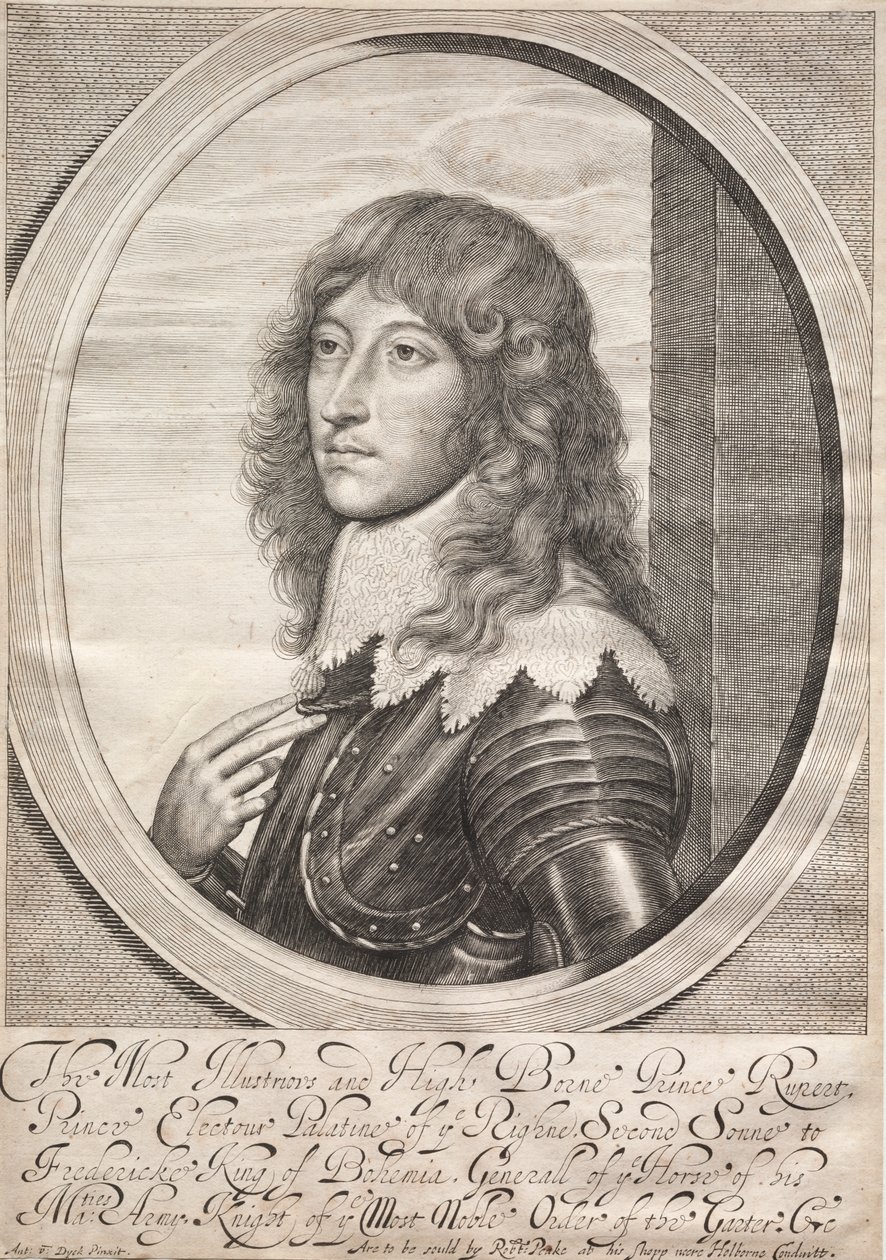 Prens Rupert by William Faithorne