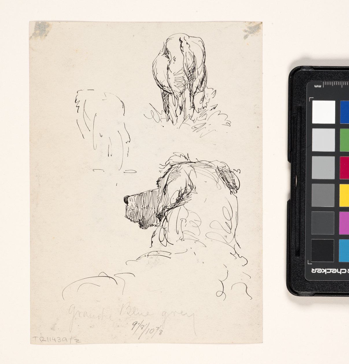 Dog (Recto), Dog And Cow (Verso) (krem dokuma kağıt üzerine kalem ve mürekkep) by William Forsyth