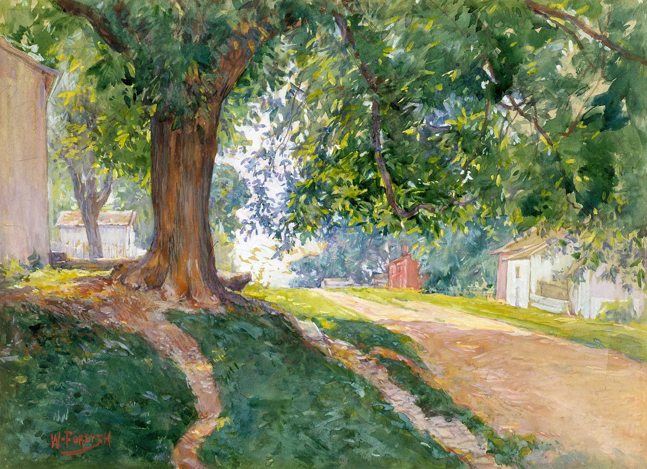Anayasal Karaağaç (kırık beyaz kağıt üzerine suluboya ve guaj) by William Forsyth