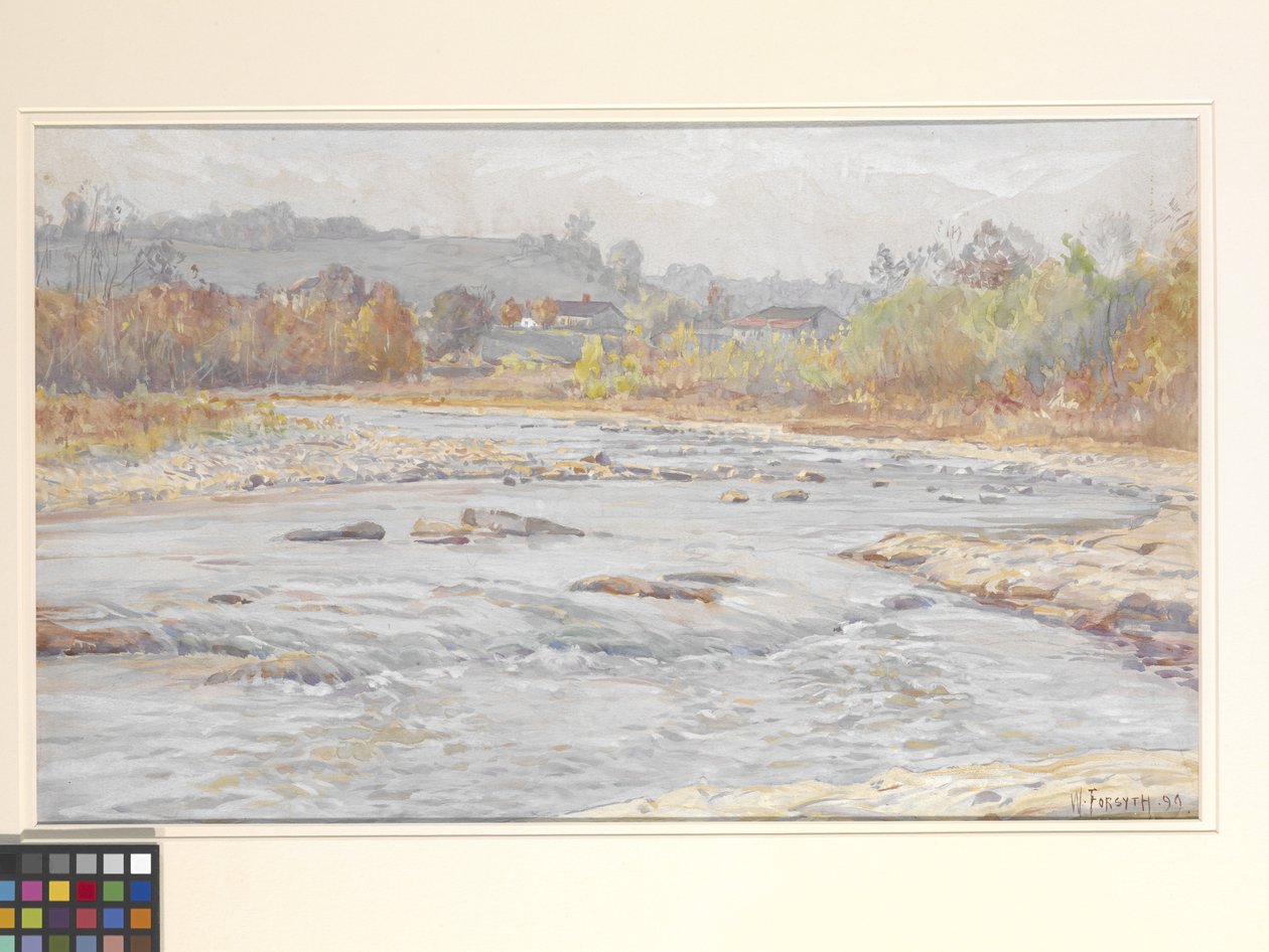 Whitewater Rapids (kırık beyaz kağıt üzerine suluboya) by William Forsyth
