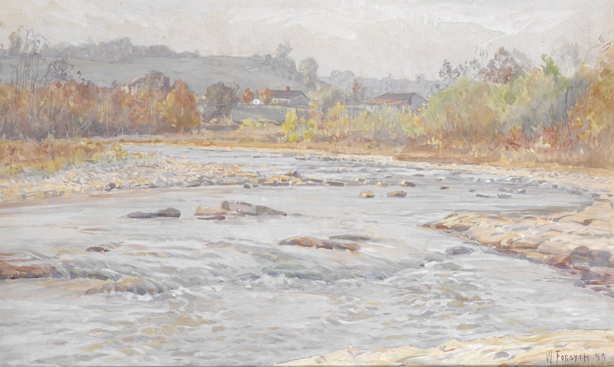 Beyaz Su Akıntıları by William Forsyth