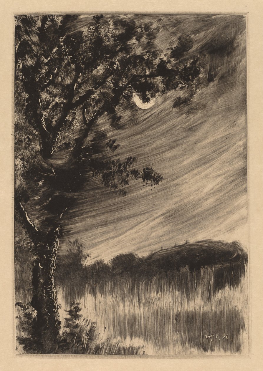 Soldaki Ağaç ile Mehtaplı Manzara by William Fowler Hopson