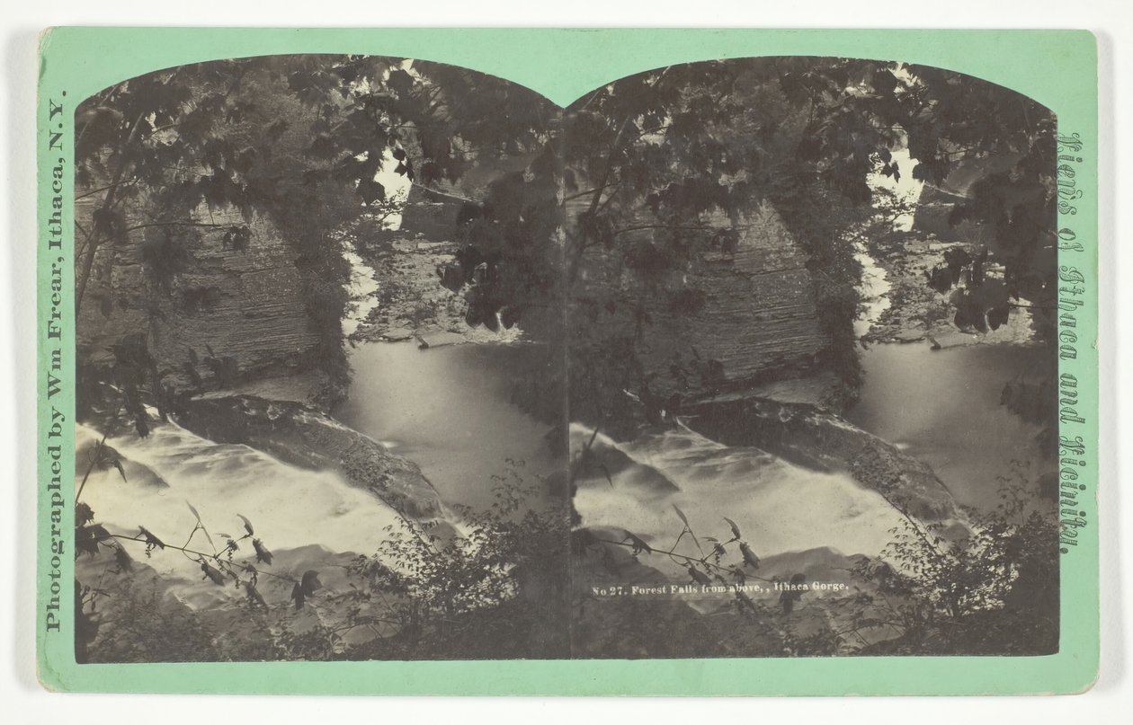 Yukarıdan Orman Şelalesi, Ithaca Gorge, 19. yüzyılın sonlarında. by William Frear