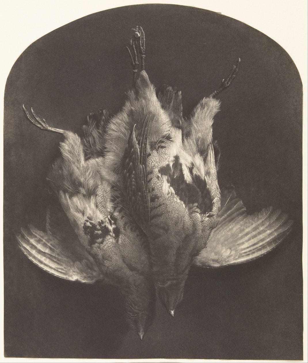 Orman Tavuğu by William Frederick Lake Price