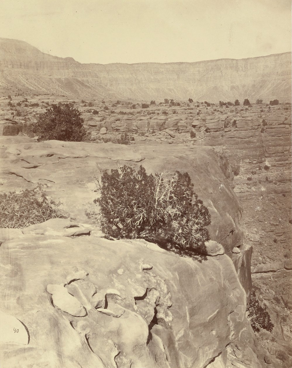  by William H. Bell