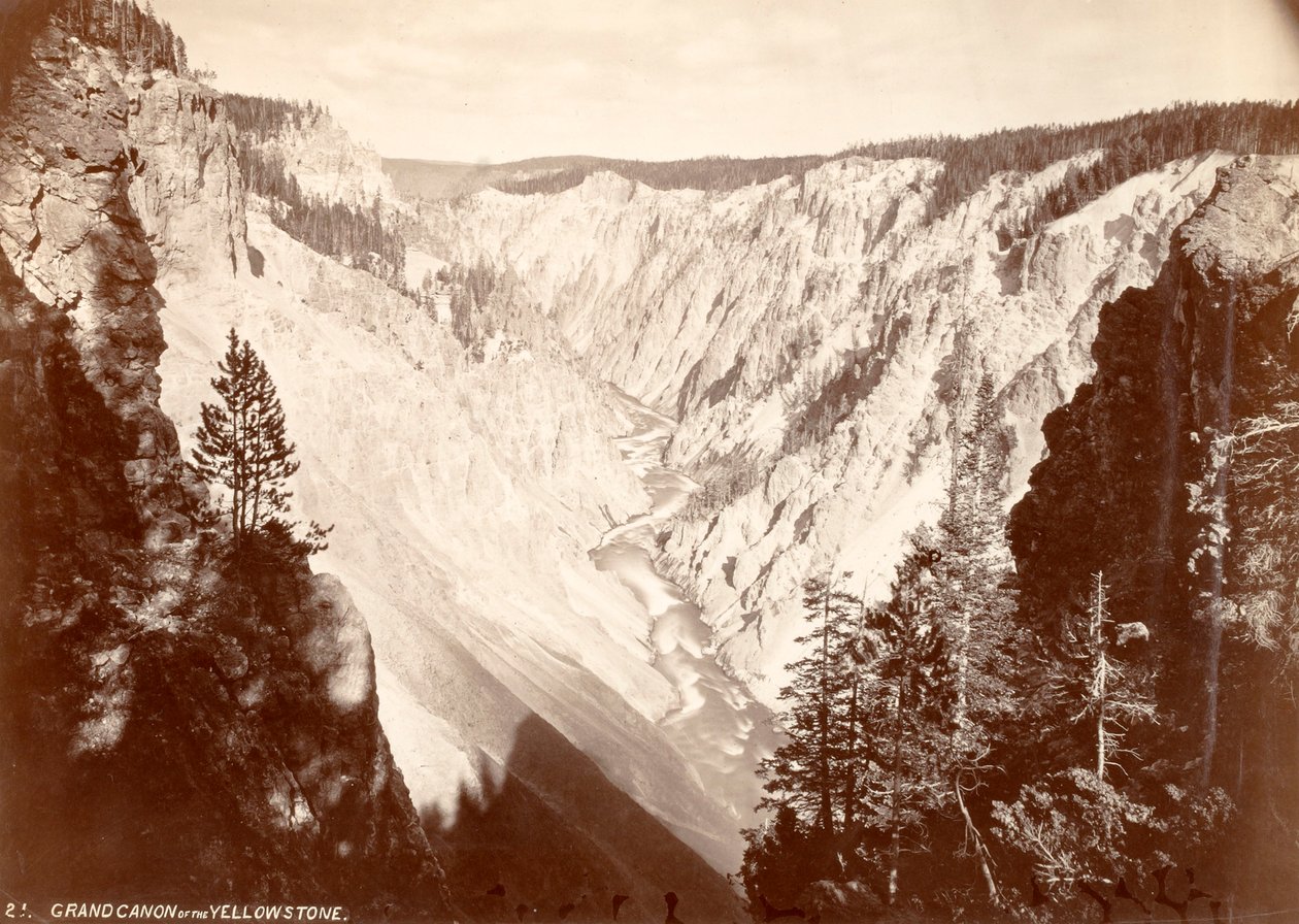  by William H. Jackson