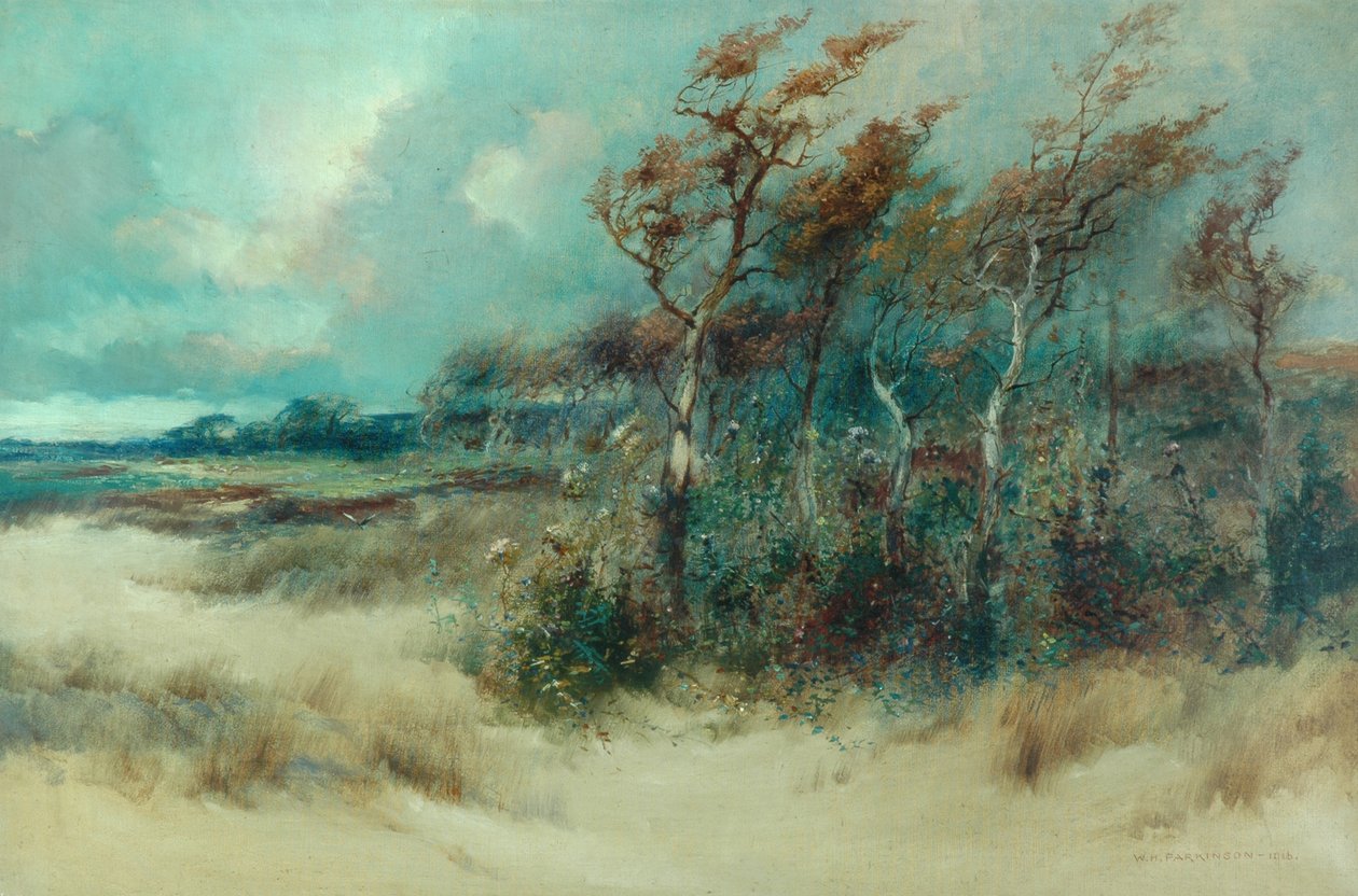 Sandy Lane