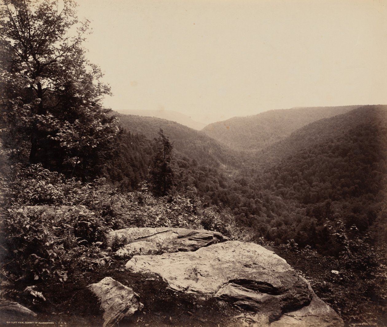 Cliff View, Alleghenies Zirvesi by William H. Rau