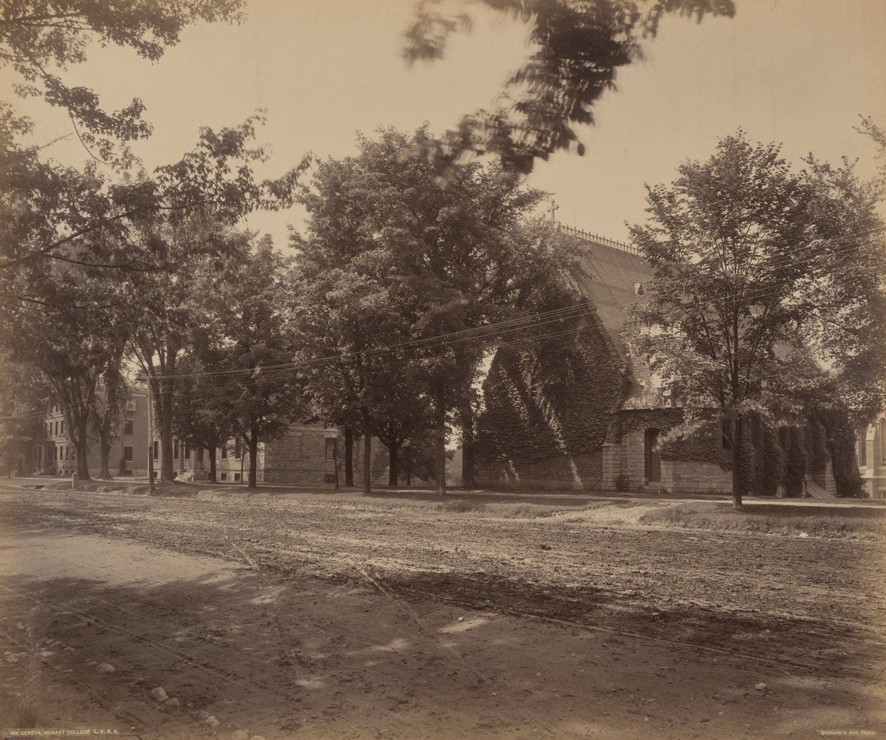 Cenevre, Hobart Koleji by William H. Rau