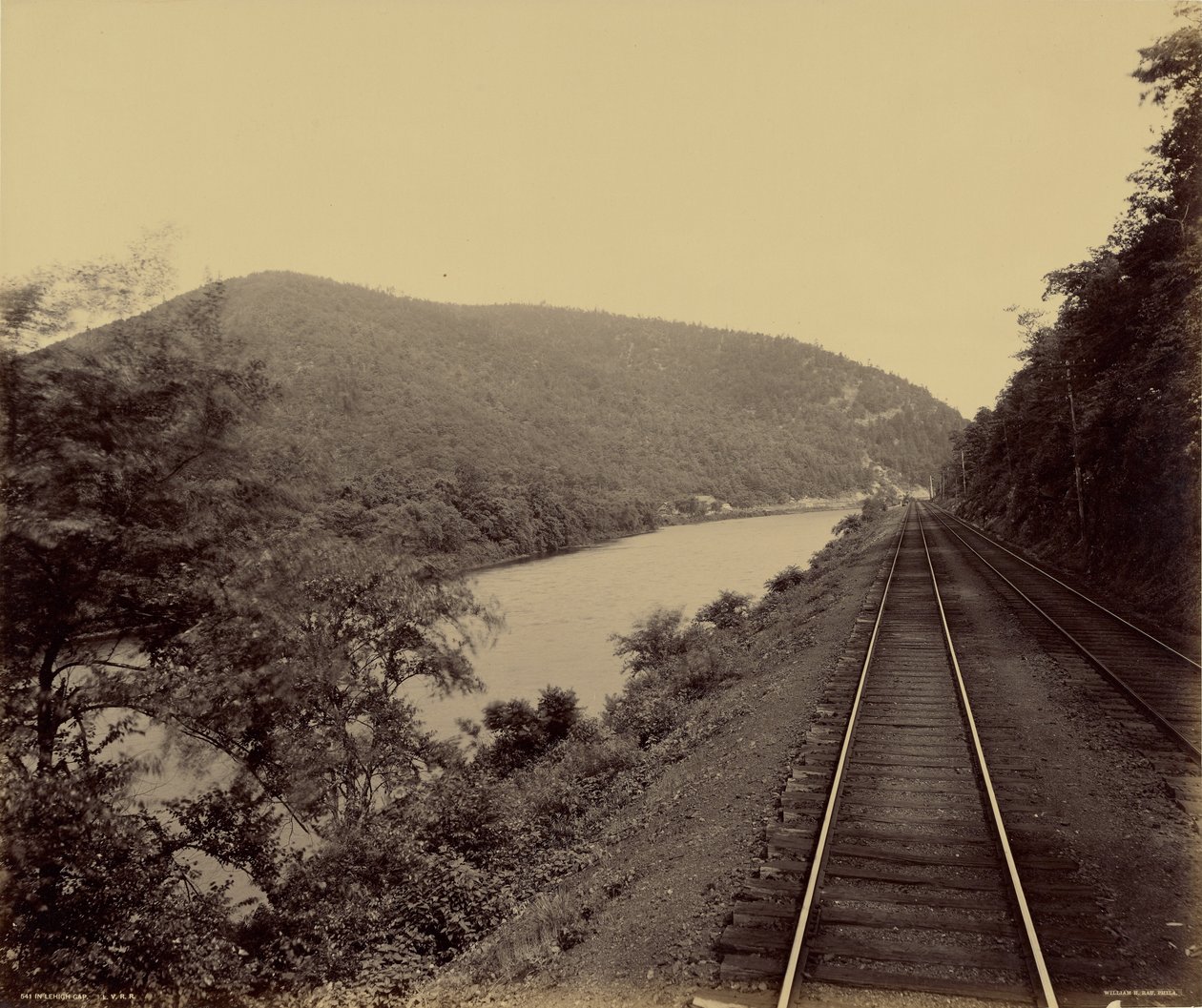  by William H. Rau
