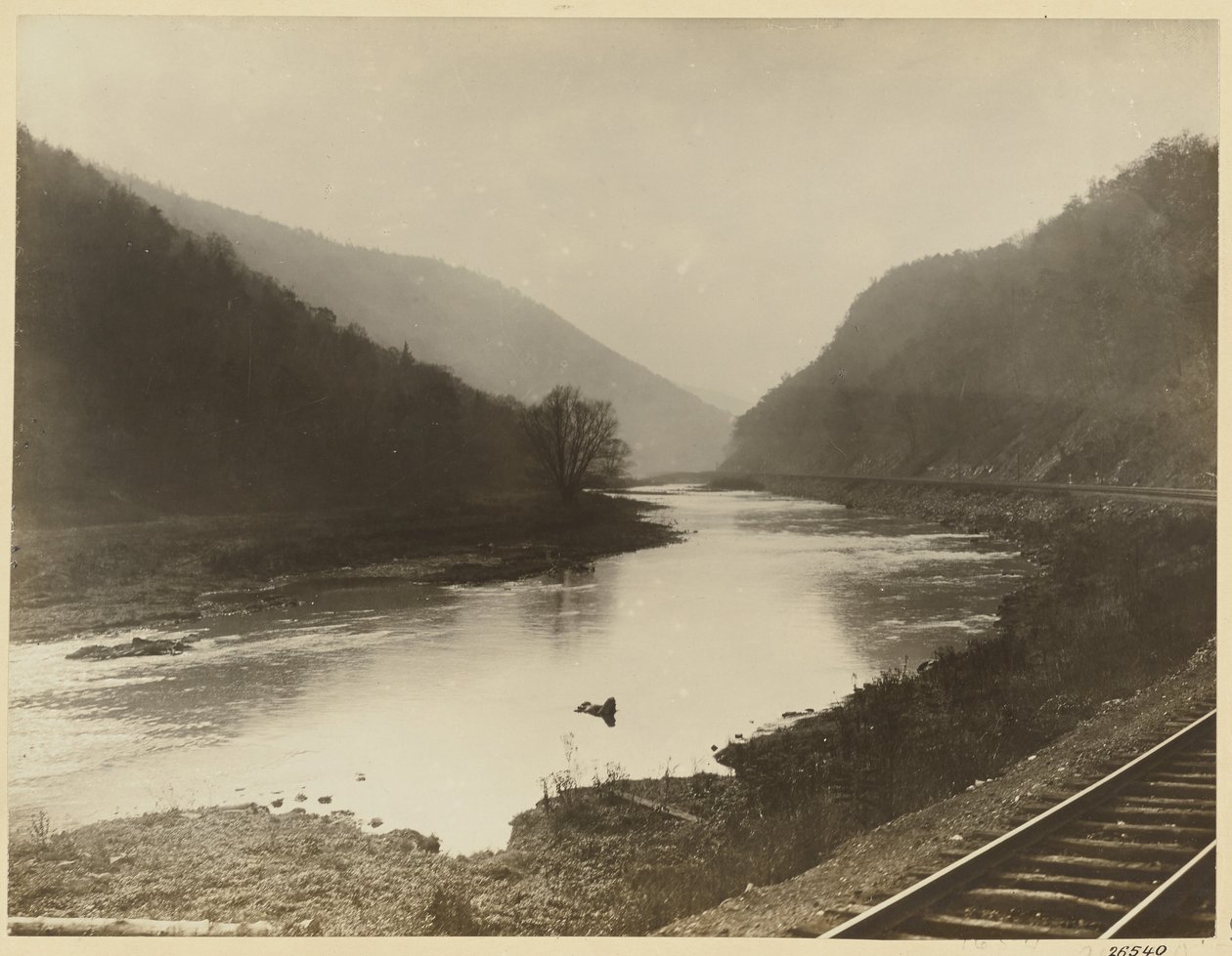  by William H. Rau