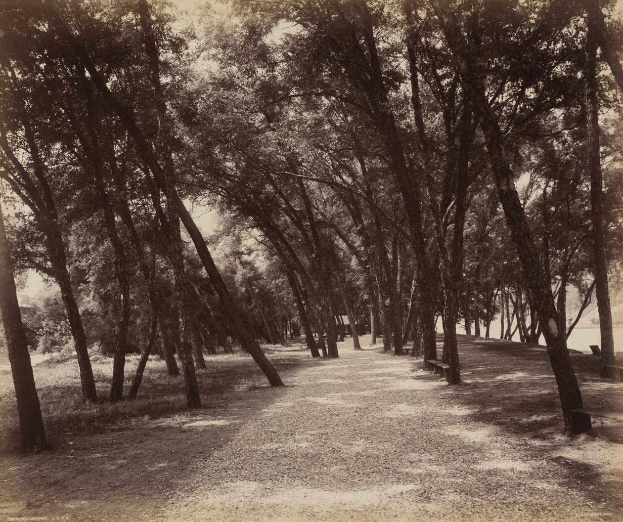 piknik alanları by William H. Rau