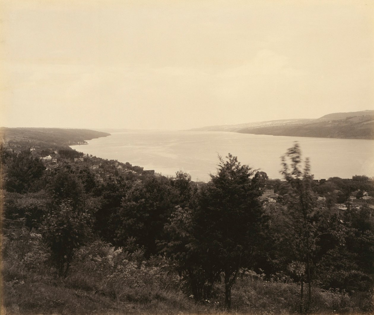  by William H. Rau
