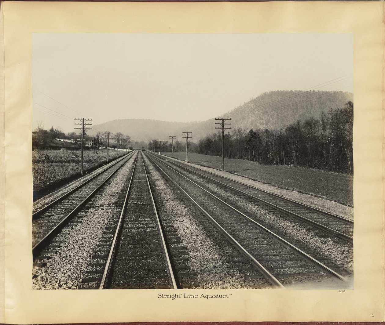  by William H. Rau