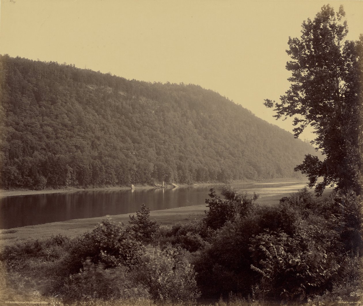  by William H. Rau