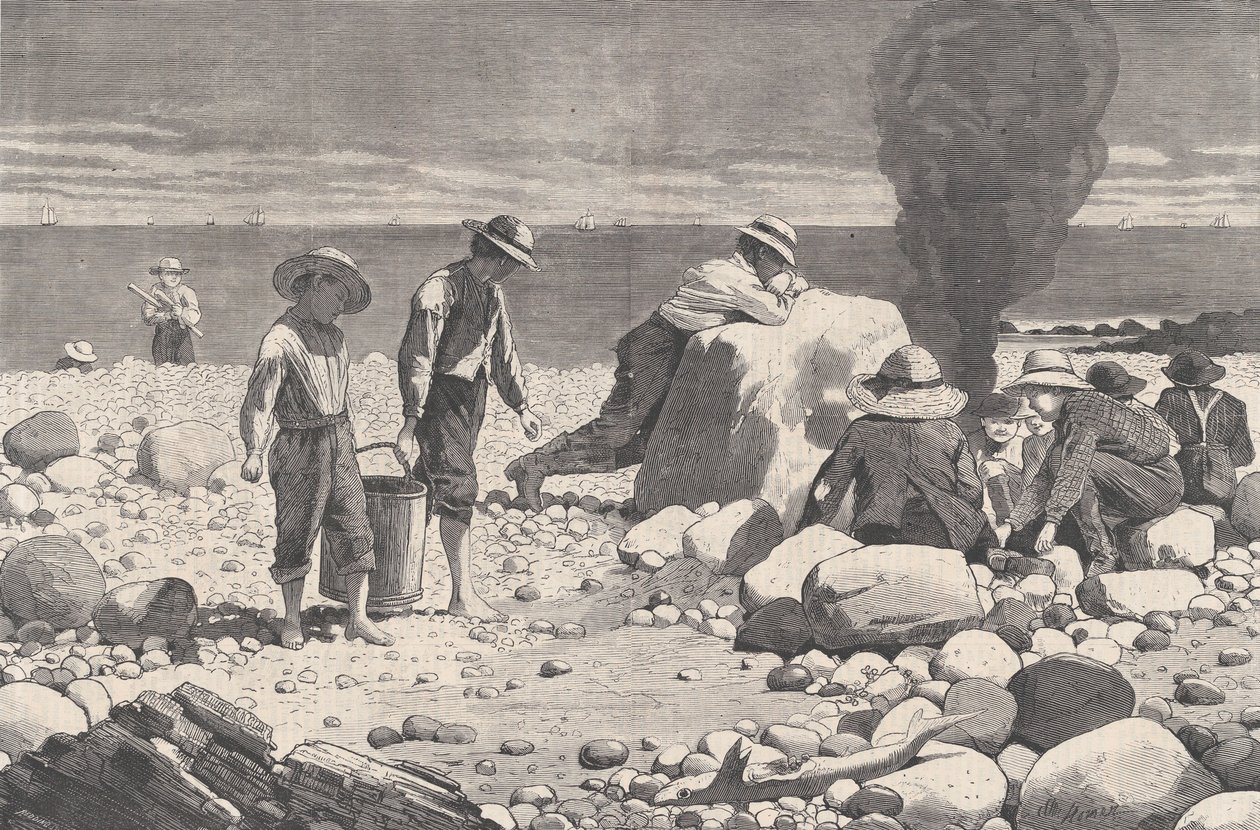 Deniz Kenarı Eskizleri - Bir Clam-Bake Harper