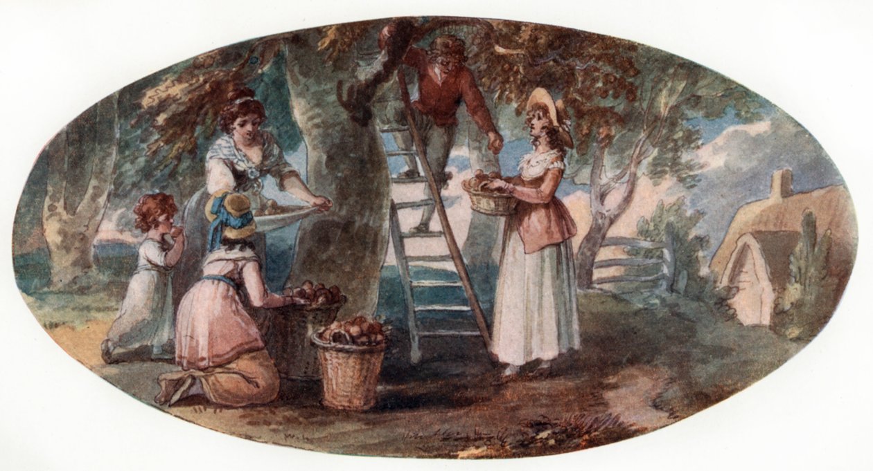 Meyve Toplama, 18. yüzyılın sonlarında. by William Hamilton