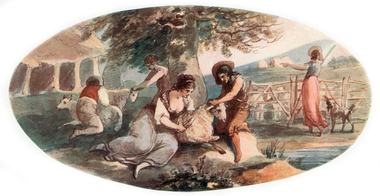 Koyun Kırkımı, 1912. by William Hamilton
