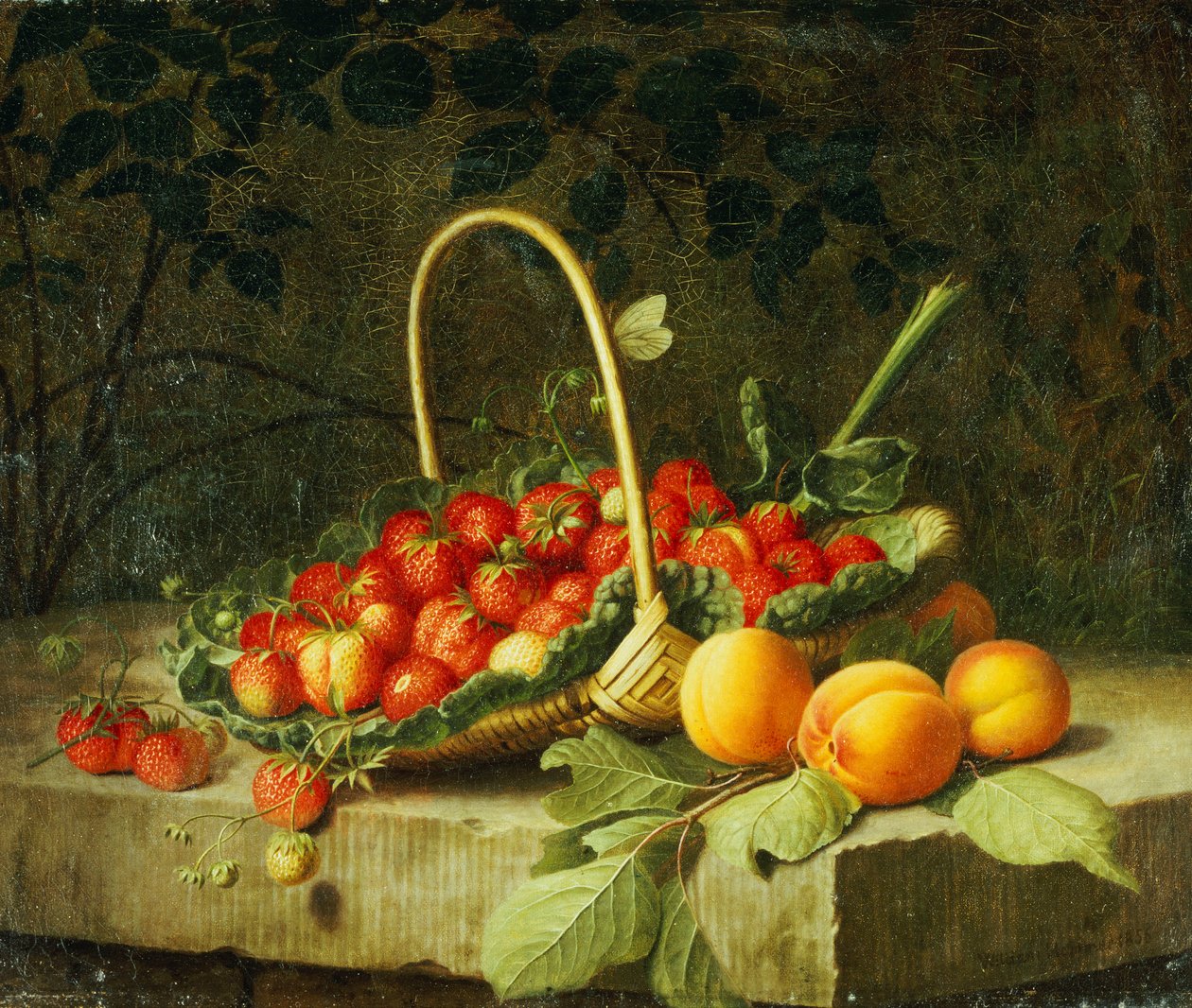 Bir Taş Çıkıntıda Şeftalili Çilek Sepeti, 1856 by William Hammer