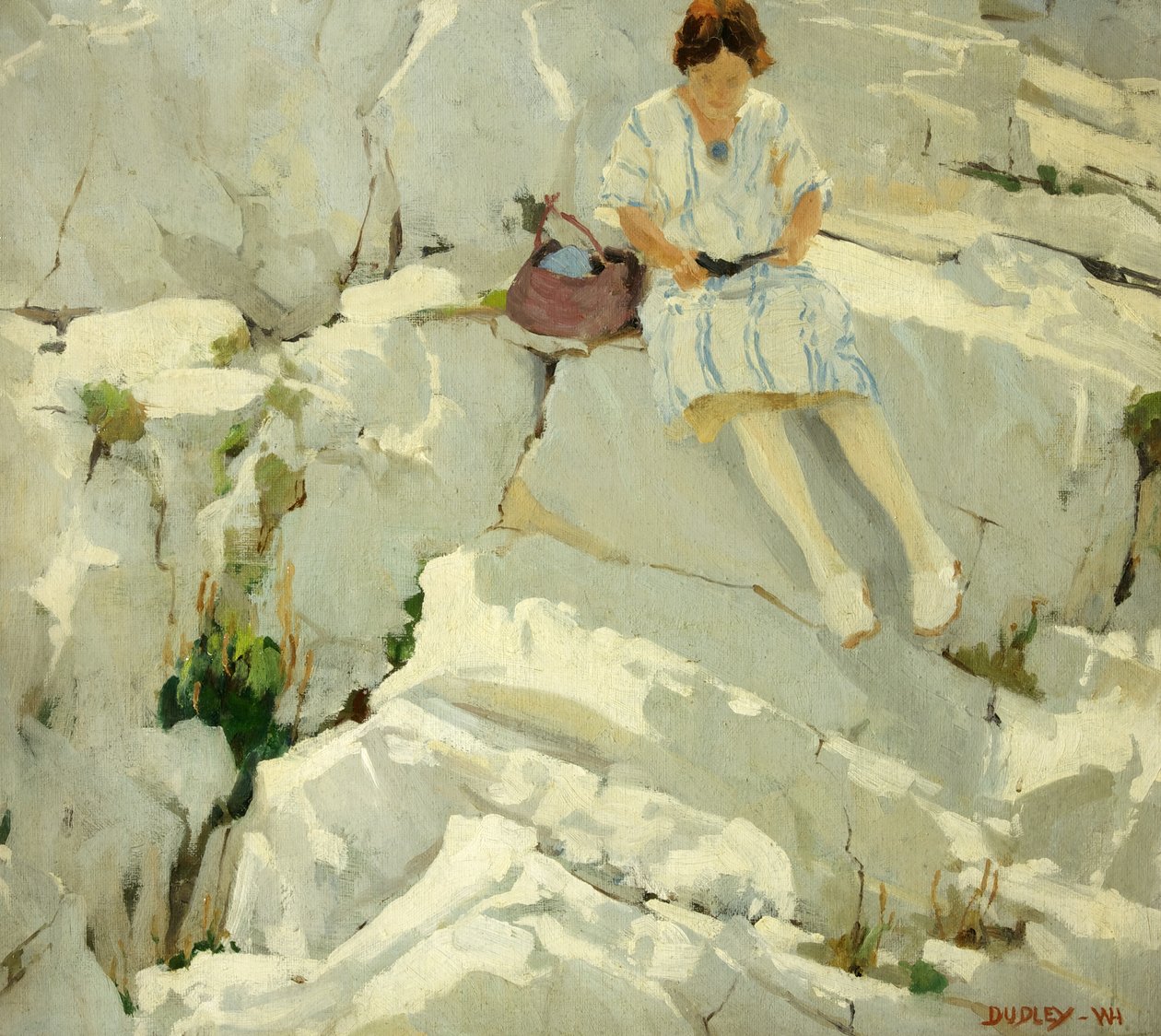 Kayaların Üzerindeki Kelebek by William Harold Dudley
