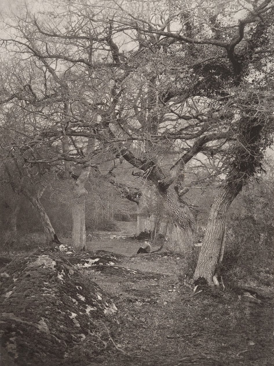 Fontainebleau Ormanı, 1870